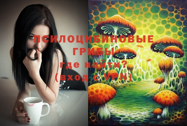 mdpv Няндома