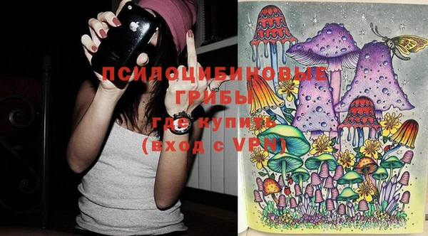 mdpv Няндома