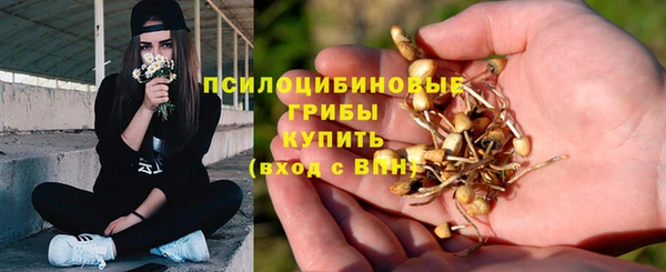 mdpv Няндома