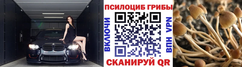 Галлюциногенные грибы ЛСД  Темников 