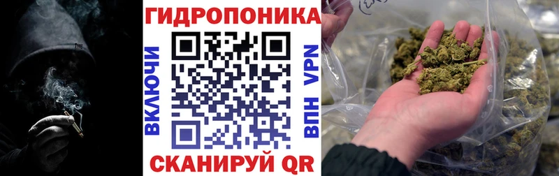 Марихуана план  Темников 